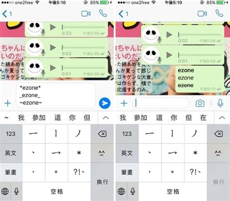 雙灰剔意思|【教學】WhatsApp 超實用秘技！即睇 20 個隱藏功。